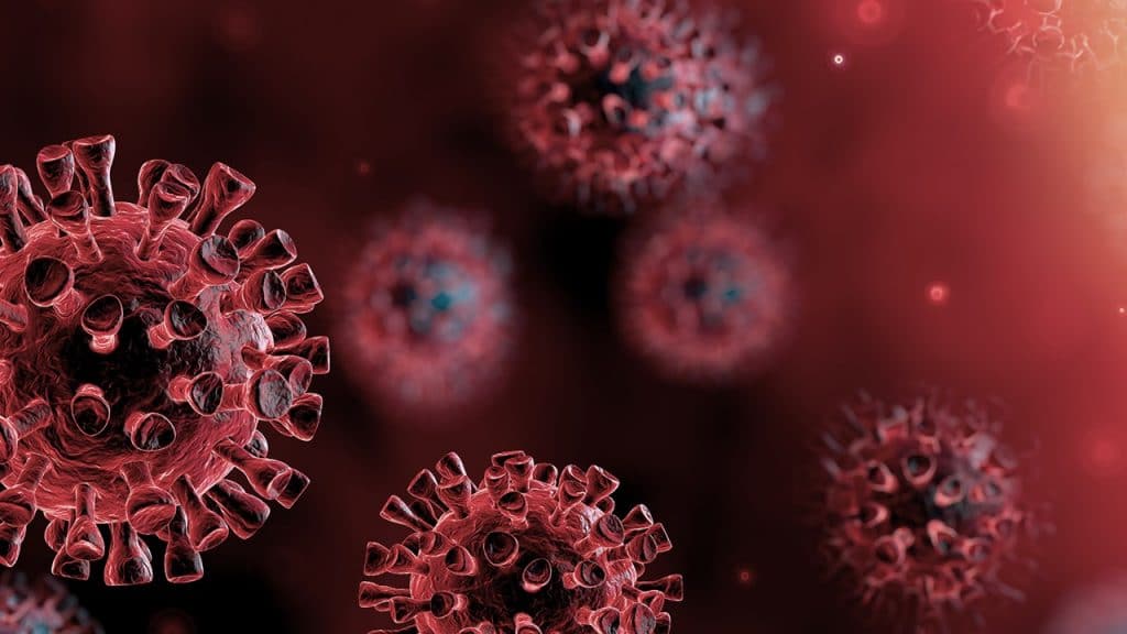 COVID-19 El Coronavirus #StayHome #QuédateEnCasa