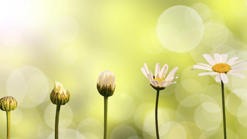 Eric Mavic febrero 2021