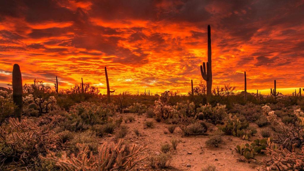 Consulado Semana Binacional Salud 2021