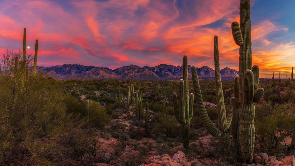 En Comunidad Enero 2022 Hola Tucson Mgz
