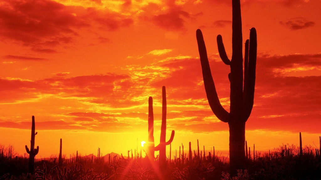 Consulado febrero 2022 Hola Tucson Mgz