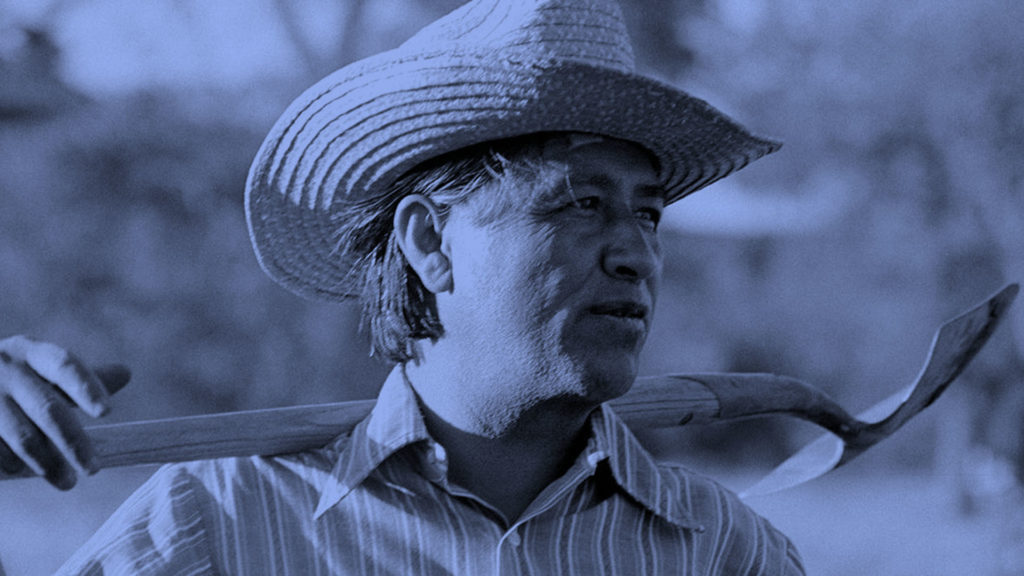 WARD 5 UPDATE CESAR CHAVEZ ABRIL 2022 Hola Tucson Mgz