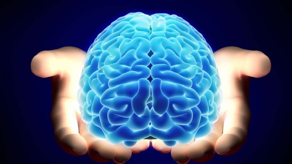 El cerebro Alejandro Benegas Hola Tucson Mgz