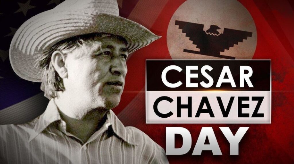 Ward 5 Update Cesar Chavez Hola Tucson Mgz
