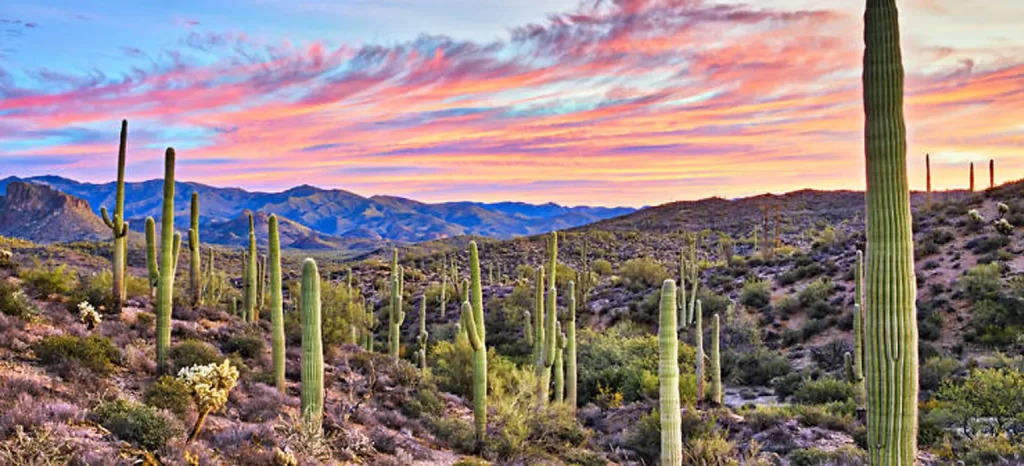 Consulado enero 2024 Hola Tucson Mgz