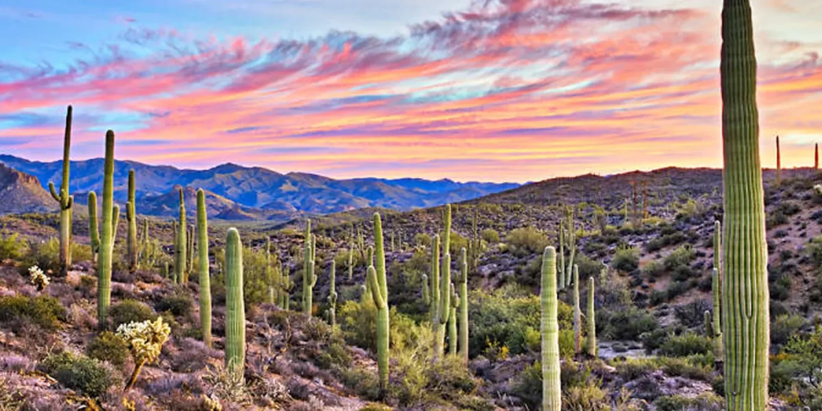 Consulado enero 2024 Hola Tucson Mgz