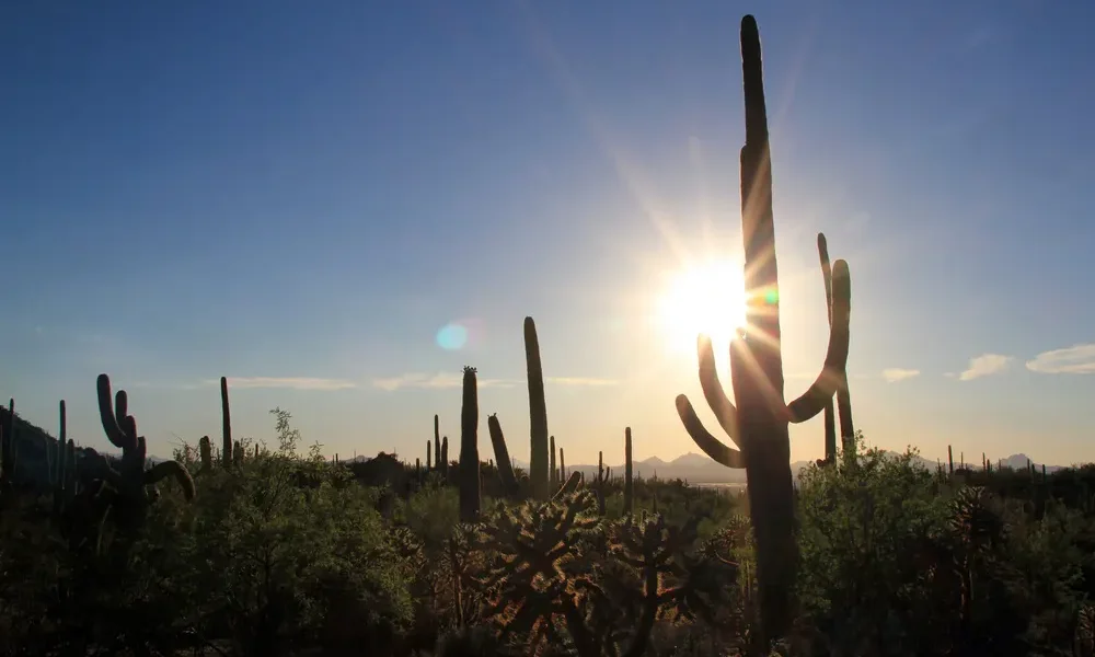 Consejos para pasar el invierno en Tucson Hola Tucson Mgz