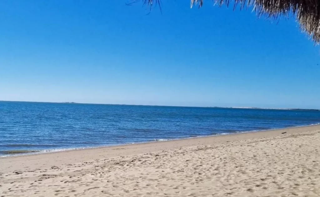 Playas de Sinaloa nuestro hogar Hola Tucson Mgz