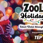 llevando a cabo nuestras tradiciones navideñas de ir al Zoo Lights o al Gaslight Theatre para ver su interpretación